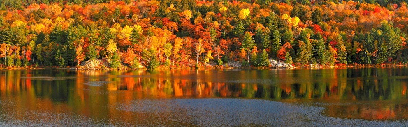 canada-foret-automne