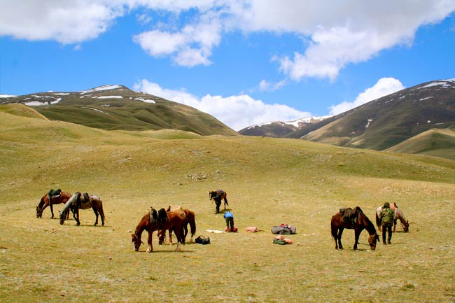 cheval