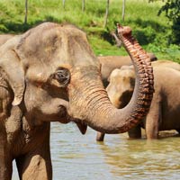 Sri Lanka