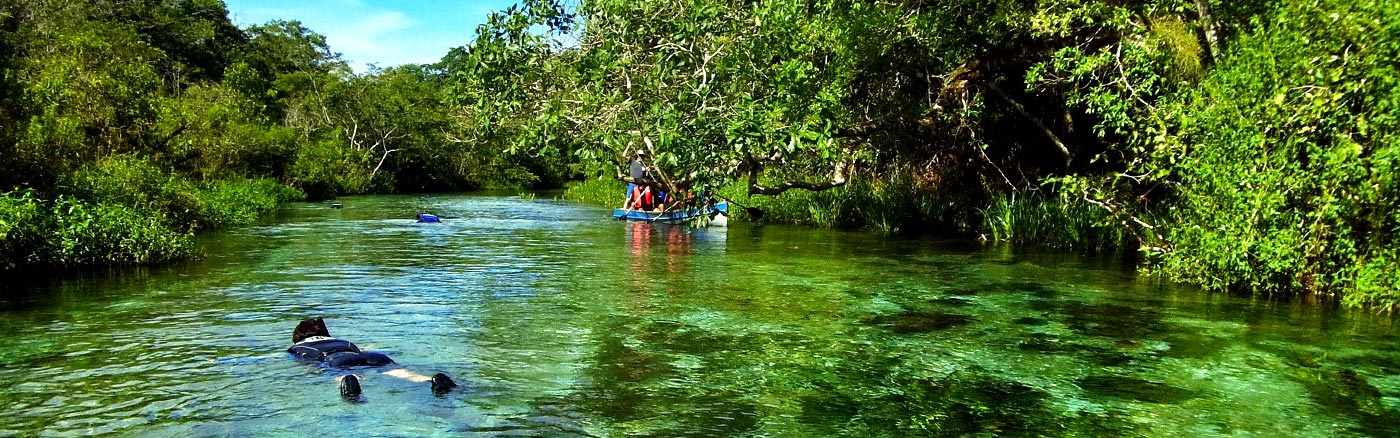 Bonito et le Pantanal 1