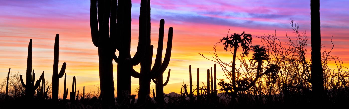 arizona-desert-sonora