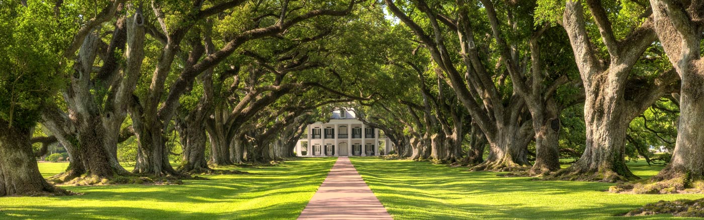 louisiane-oak-plantation