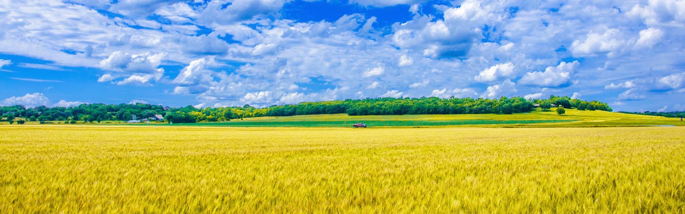 midwest-prairie-iowa