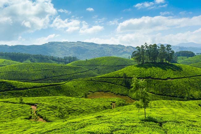 MUNNAR