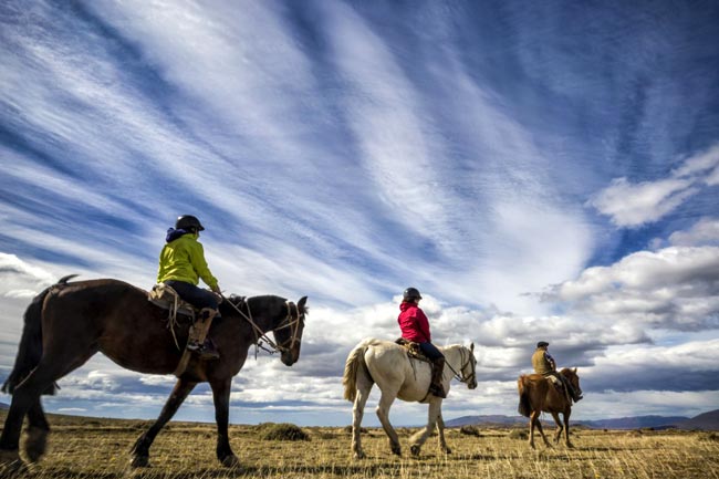 awasi patagonia cheval