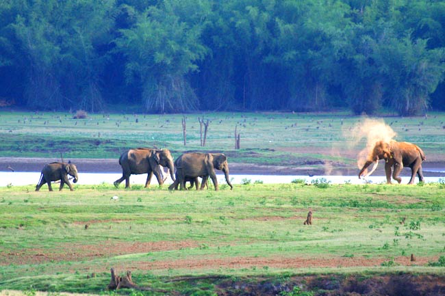 bandipur