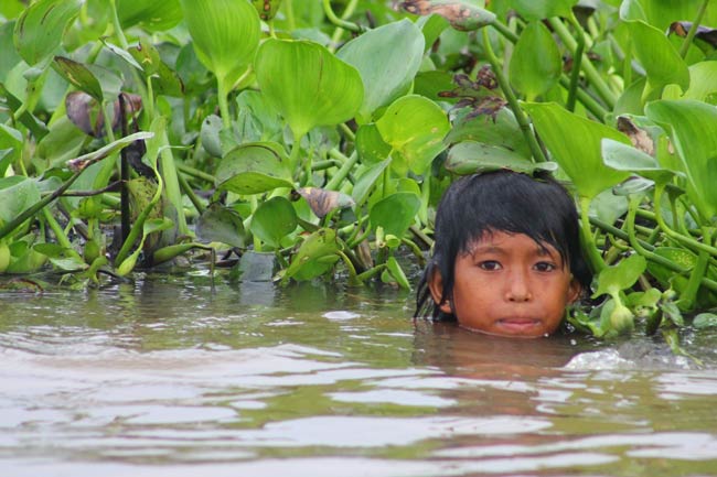 battambang-campagne