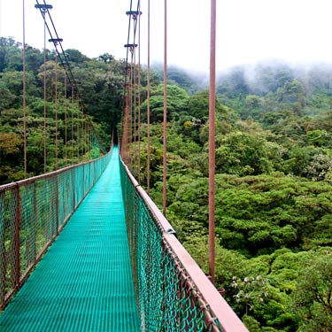 costarica-monteverde-canopee