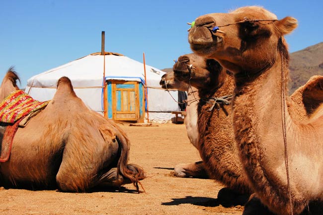 desert-de-gobi