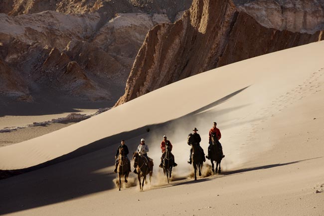 explora atacama cheval