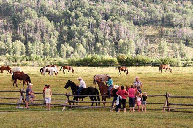 goosewing-ranch-corral