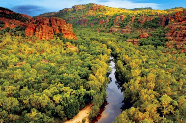 kakadu