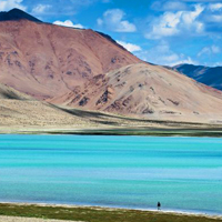 ladakhi