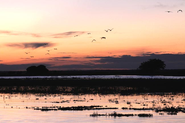 les llanos paysage