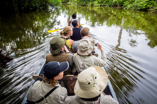 mon-loge-en-amazonie2