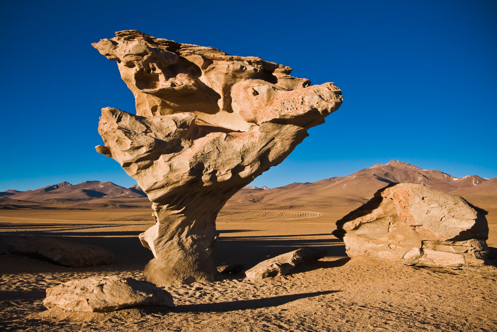 nature-bolivie-arbre-pierre