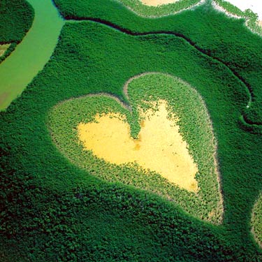 nouvelle-caledonie-coeur-de-voh