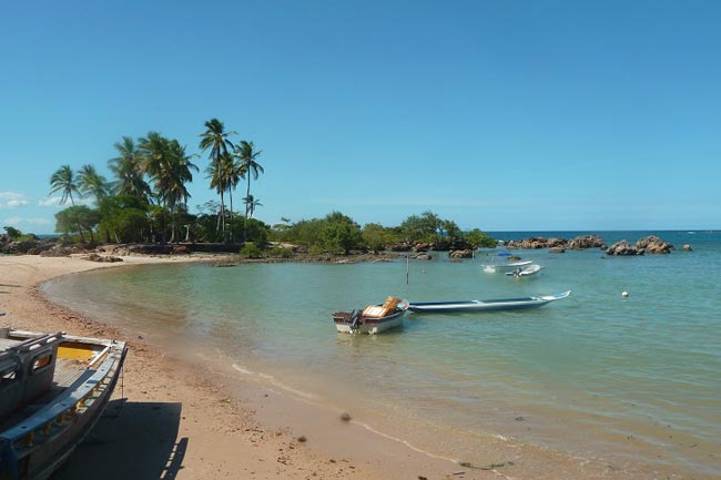 plagebresilbahia