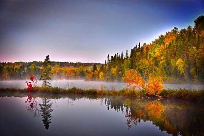 quebecnature