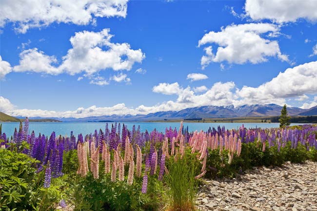 tekapo