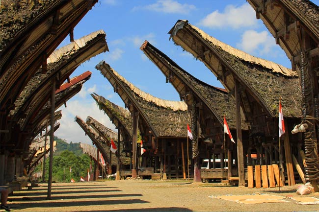 toraja-maisons