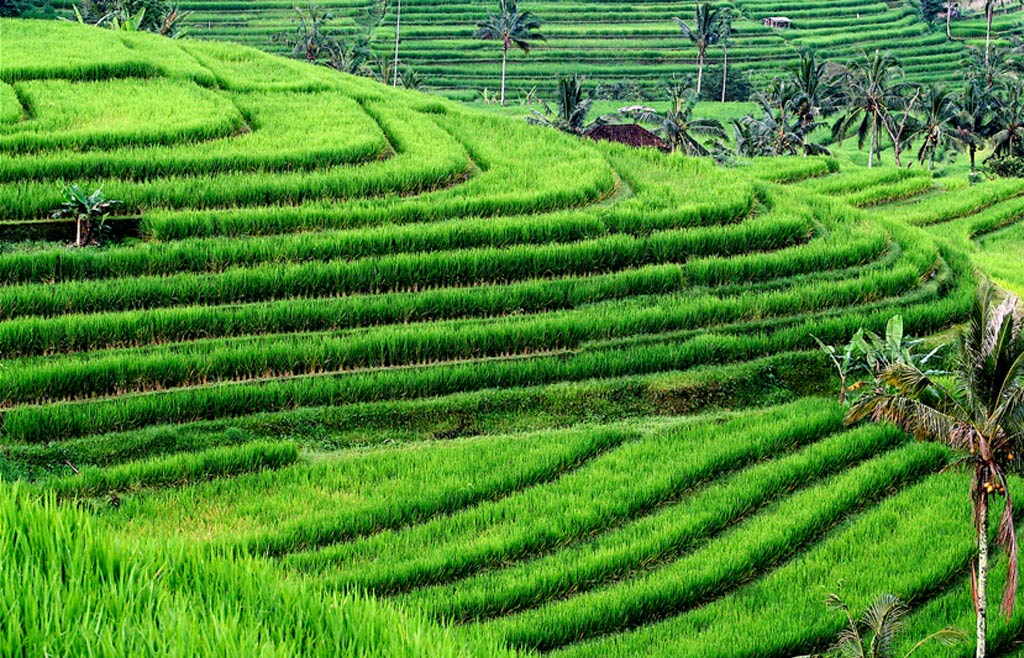 ubud-bali