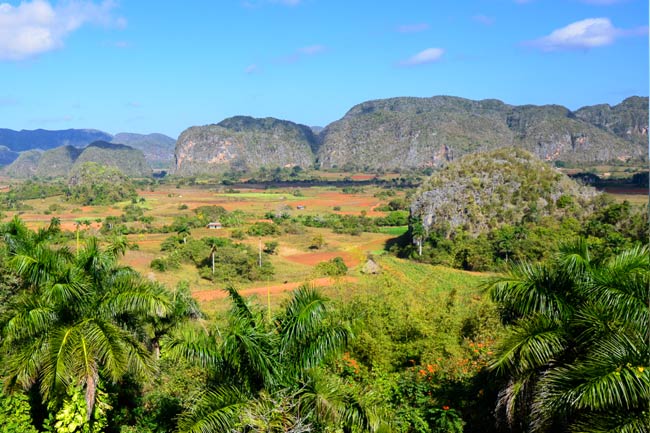 vinales