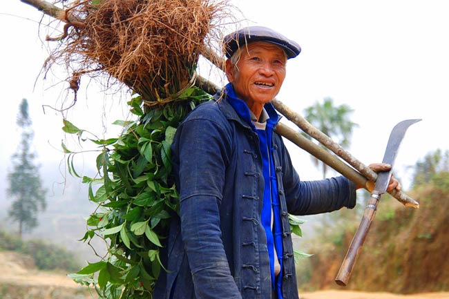 yunnan-farmer