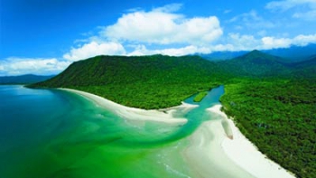 Queensland Tropical