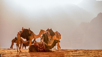 Une semaine en Jordanie