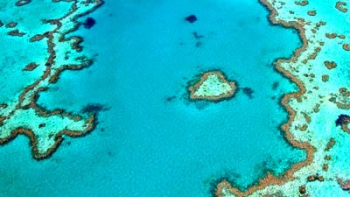 Croisiere Reef Encounter