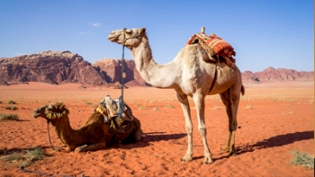 La Jordanie au volant