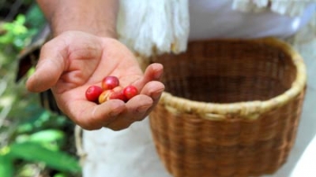 Gastronomie Colombienne