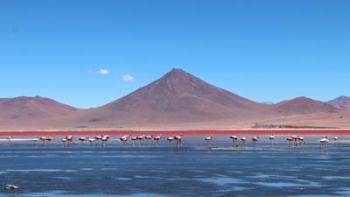 Altiplano - Chili, Bolivie &amp; Argentine