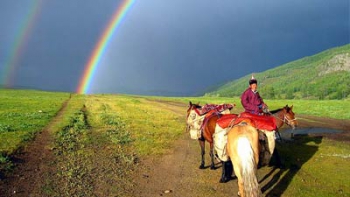 Multi Activités dans le Khangaï