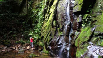 Ma Tribu au Costa Rica