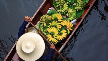 Vietnam Gourmand