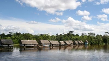 L'Amazonie