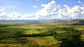 La Grande Savane