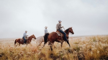 4 ranchs mythiques pour vivre le Texas grandeur nature