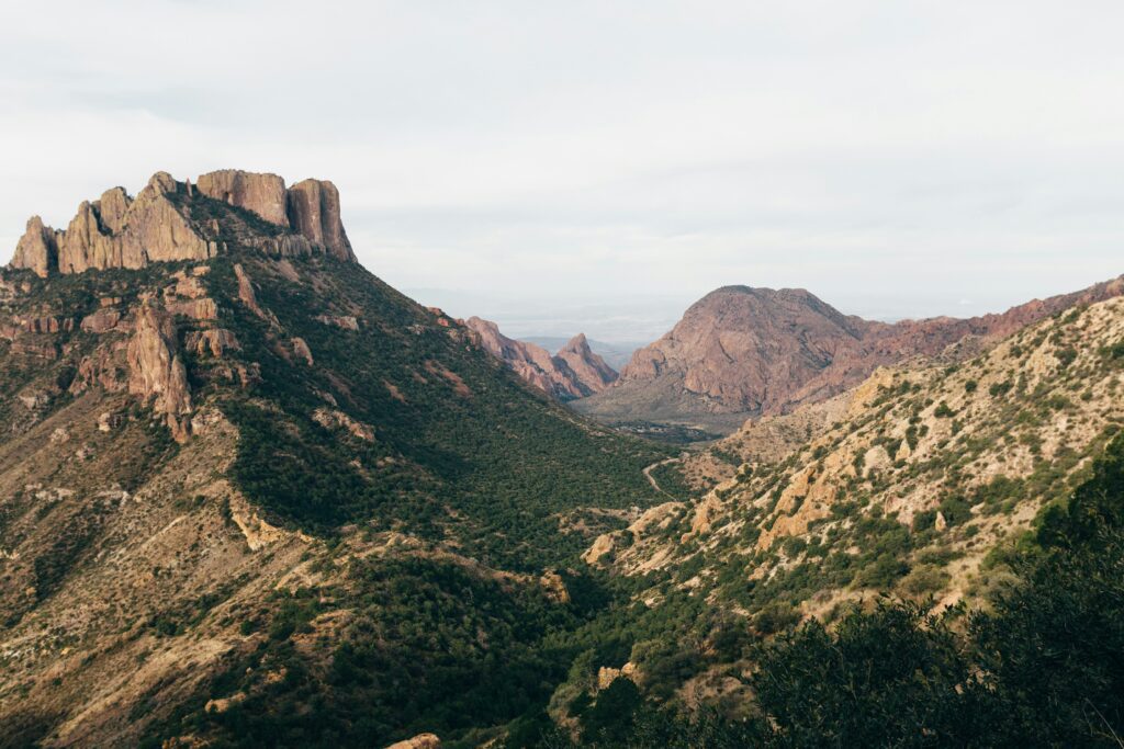 adan-guerrero-bxXi8wYIeB8-unsplash (2)