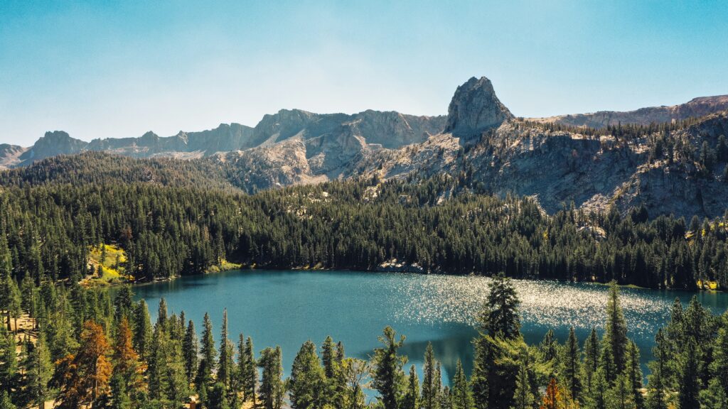 don-b-_GuMSTaUZDY-unsplash