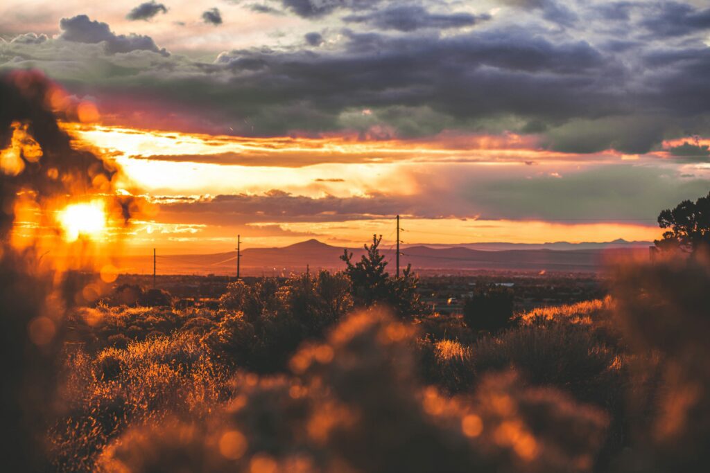 maddy-baker-DVze54aeK9k-unsplash