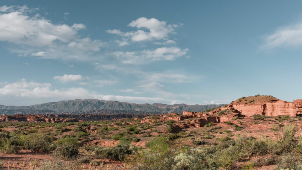 kirill-burov-_BiFMlrUVnk-unsplash