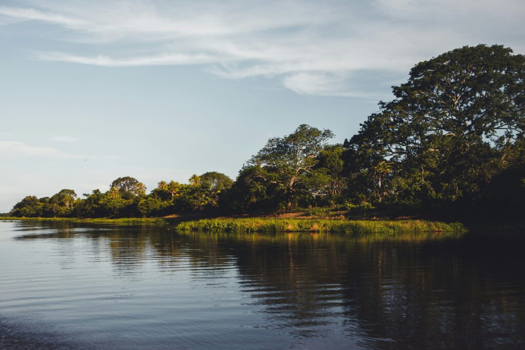 nathalia-segato-Z7qNoZ-nsJc-unsplash