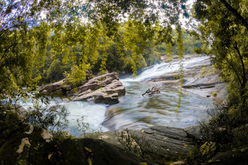 dinuka-lankaloka-LHna_DJ954M-unsplash
