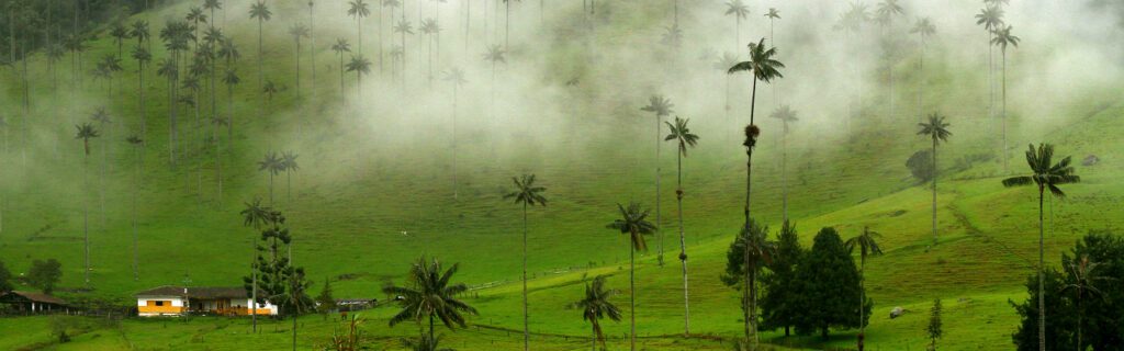 escale-colombie-cocora