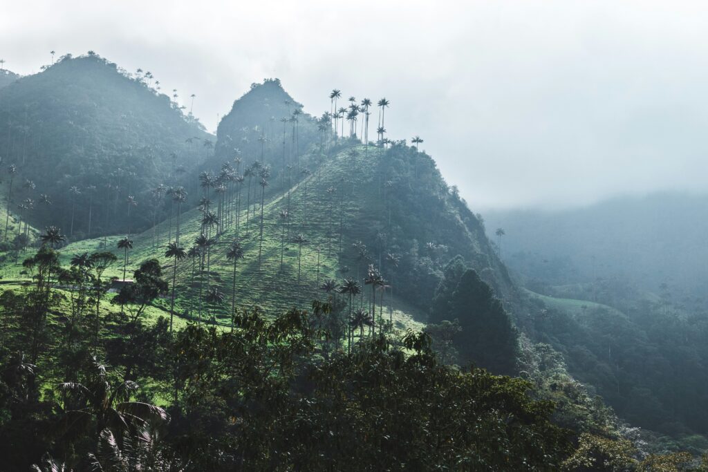 jan-kronies-kxuXtPeV01Y-unsplash