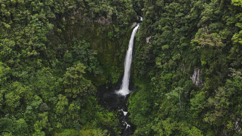 joseph-pina-WfkxOxKEXLk-unsplash