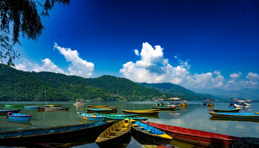 meera-pankhania-7cENZhgyf7c-unsplash